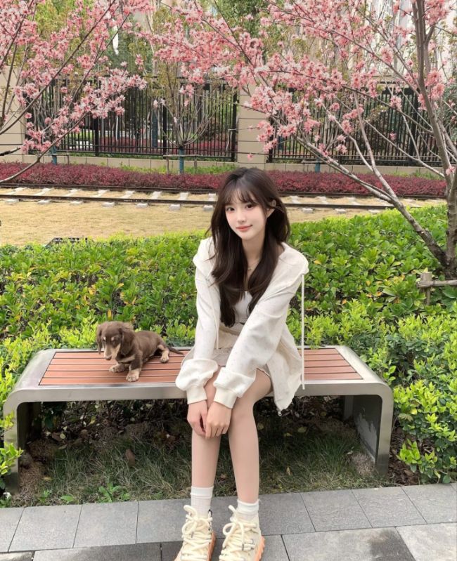 仙女下凡美女如云